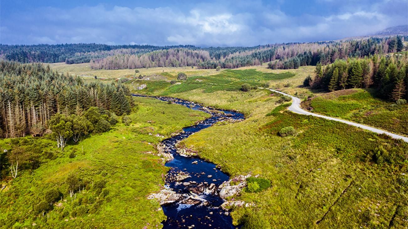 In review Salix Scottish Regional Meeting 2020 Salix Finance